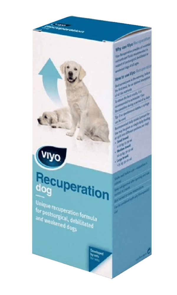 Viyo Recuperation Köpek Ek Besin Takviyesi 150 ML