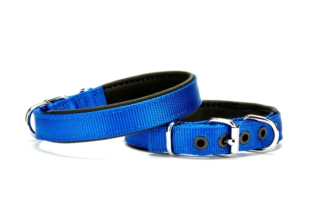 Softlu Köpek Boyun Tasması 2 cm x 45 cm Mavi
