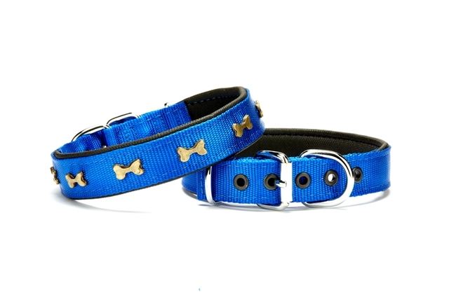 Doggie Softlu Kemik Desenli Köpek Tasması 2,5 cm x 50 cm Mavi