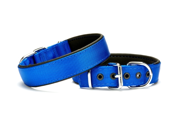 Doggie Köpek Tasması Softlu 3 cm x 65 cm Mavi