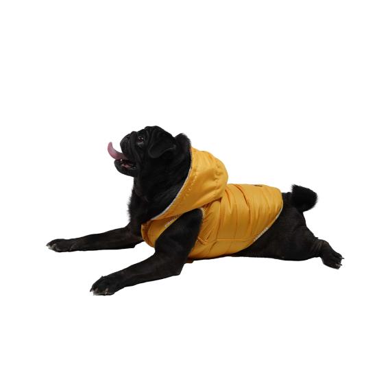 Pawstar Küçük ve Orta Irk Sarı Sport Köpek Yeleği Medium 28 Cm