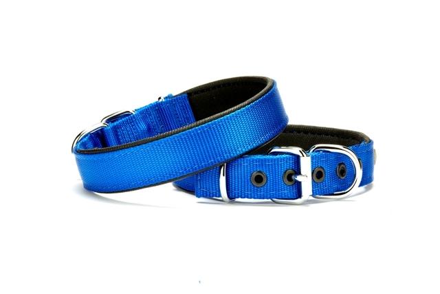 Doggie Softlu Dokuma Köpek Tasması 2,5 cm x 50 cm Mavi